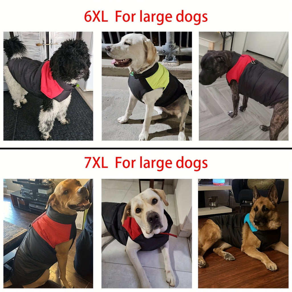 Gilet imbottito per animali domestici, cappotto con cerniera posteriore per cani