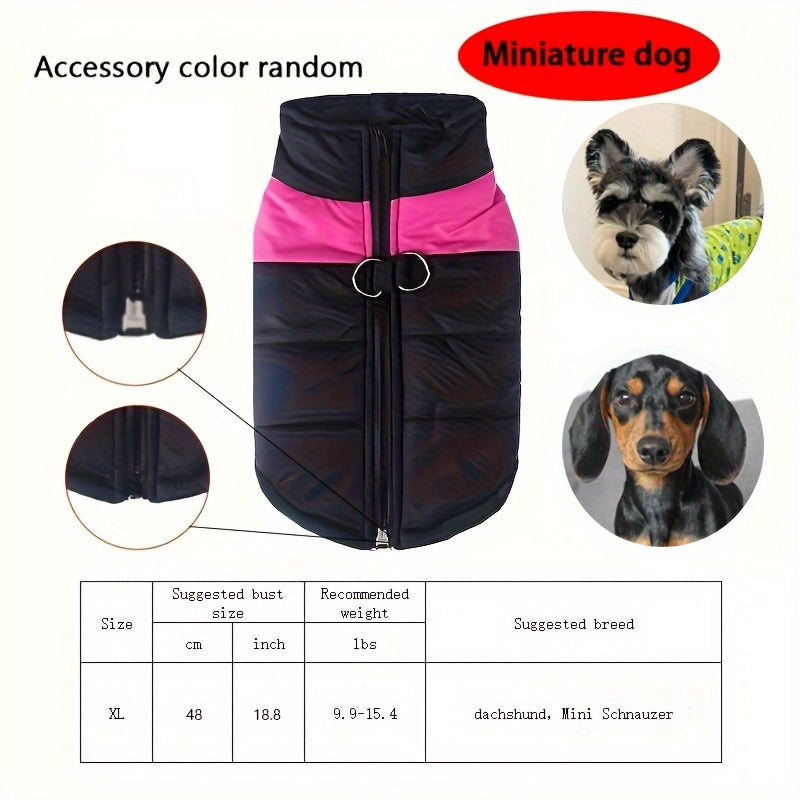 Gilet imbottito per animali domestici, cappotto con cerniera posteriore per cani