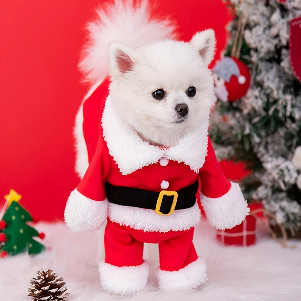 Costumi per animali domestici