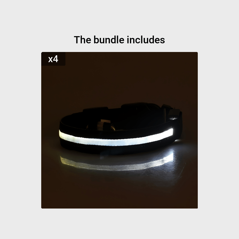 Collare Luminoso Regolabile per Cani – Sicurezza Notturna e Visibilità