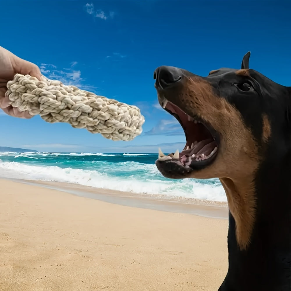 Corda da masticare per cani, con nodi intrecciati multicolori, adatto per la pulizia dei denti e l'addestramento interattivo