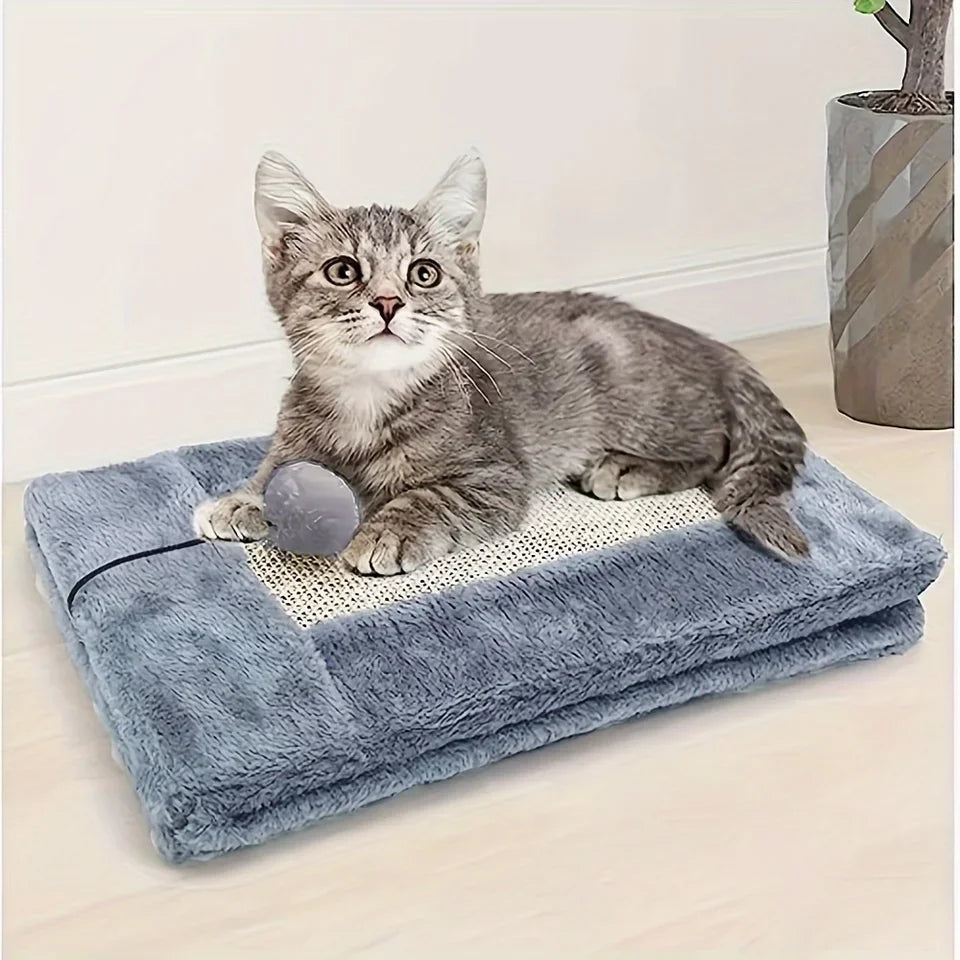 Cuccia e tiragraffi per gatto