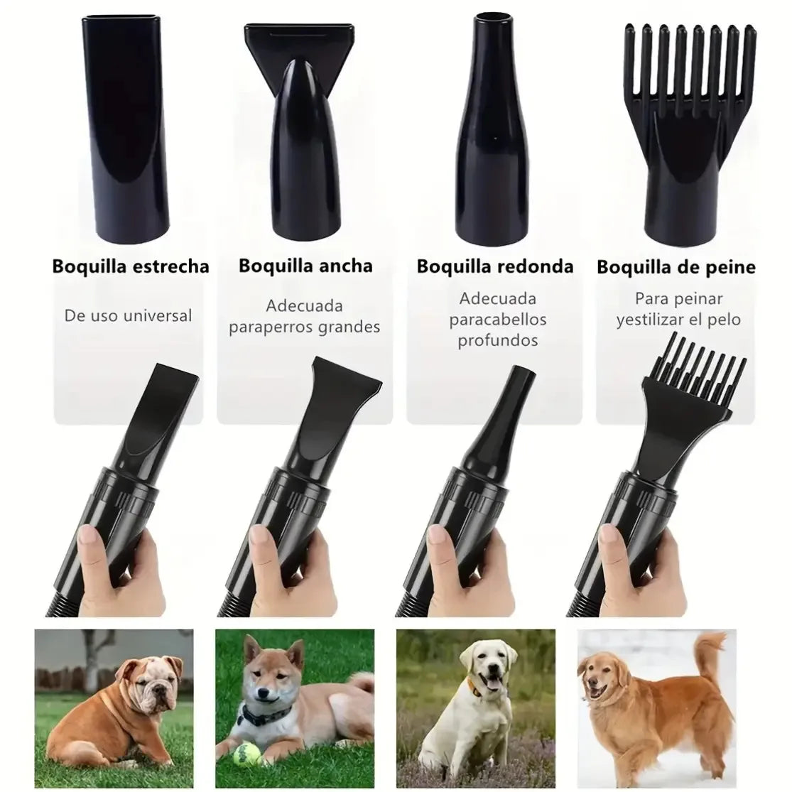 Asciugatore per pelo di cani e gatti con controllo della temperatura