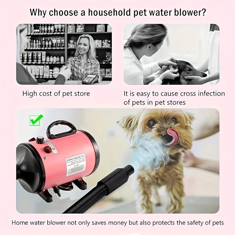 Asciugatore ad alta velocità ad asciugatura rapida per uso domestico con tubo flessibile e 3 ugelli, adatto a cani e gatti