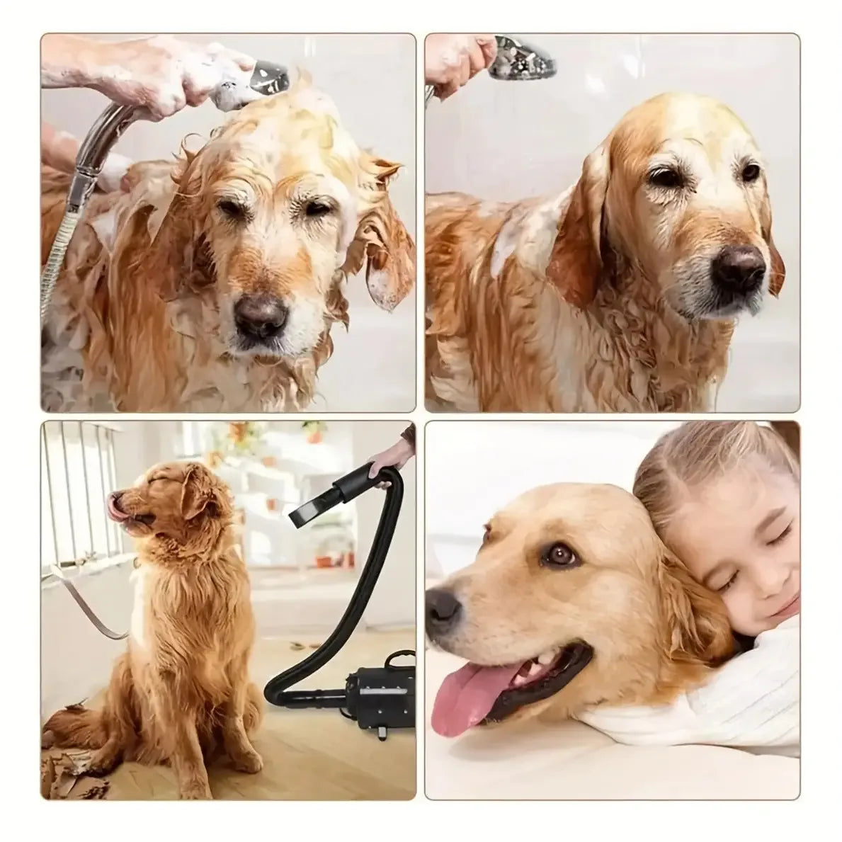 Asciugatore per pelo di cani e gatti con controllo della temperatura