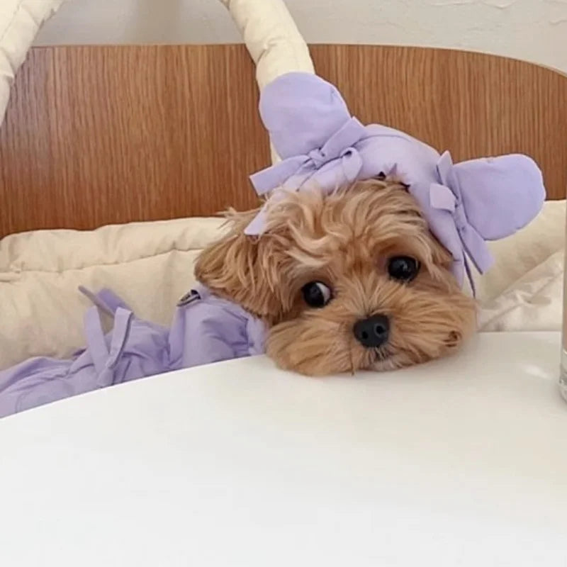 Cappotto invernale imbottito per cani