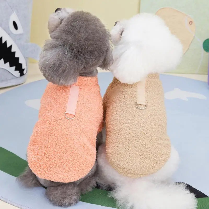 Maglione Teddy per cani di piccola taglia