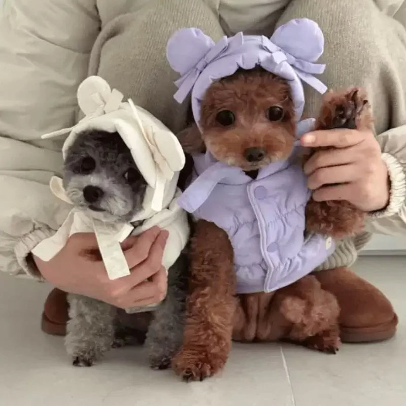 Cappotto invernale imbottito per cani