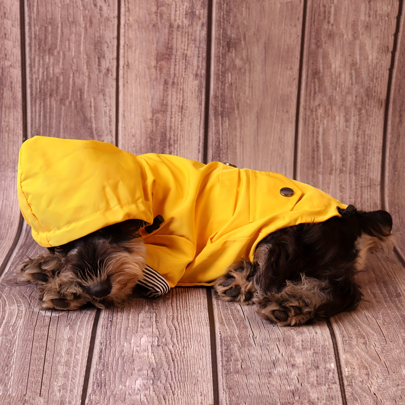 Giacca Antipioggia a Righe per Cuccioli – Cappotto Impermeabile per Animali Domestici