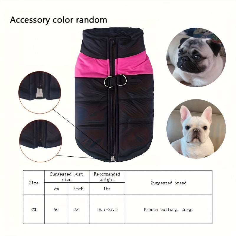Gilet imbottito per animali domestici, cappotto con cerniera posteriore per cani