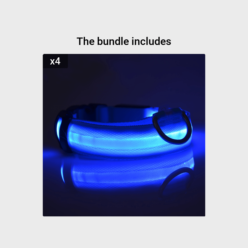 Collare Luminoso Regolabile per Cani – Sicurezza Notturna e Visibilità