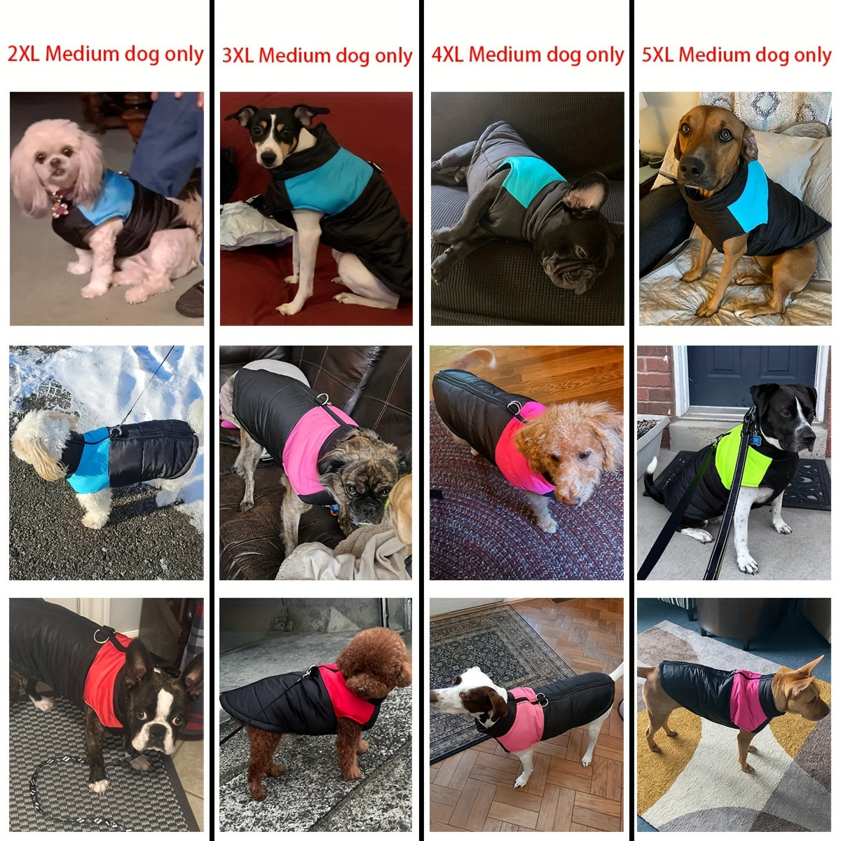 Gilet imbottito per animali domestici, cappotto con cerniera posteriore per cani