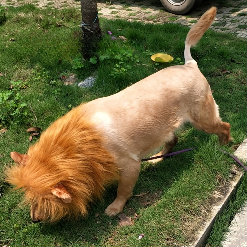 Costume per cane - Criniera di leone in peluche per cani