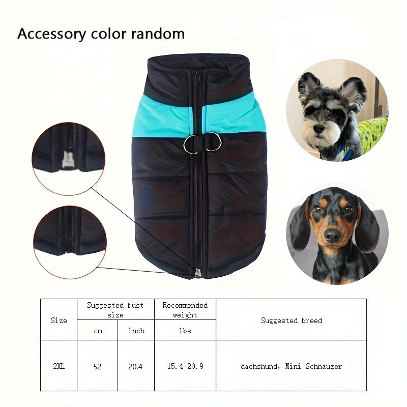 Gilet imbottito per animali domestici, cappotto con cerniera posteriore per cani