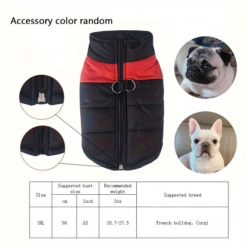 Gilet imbottito per animali domestici, cappotto con cerniera posteriore per cani